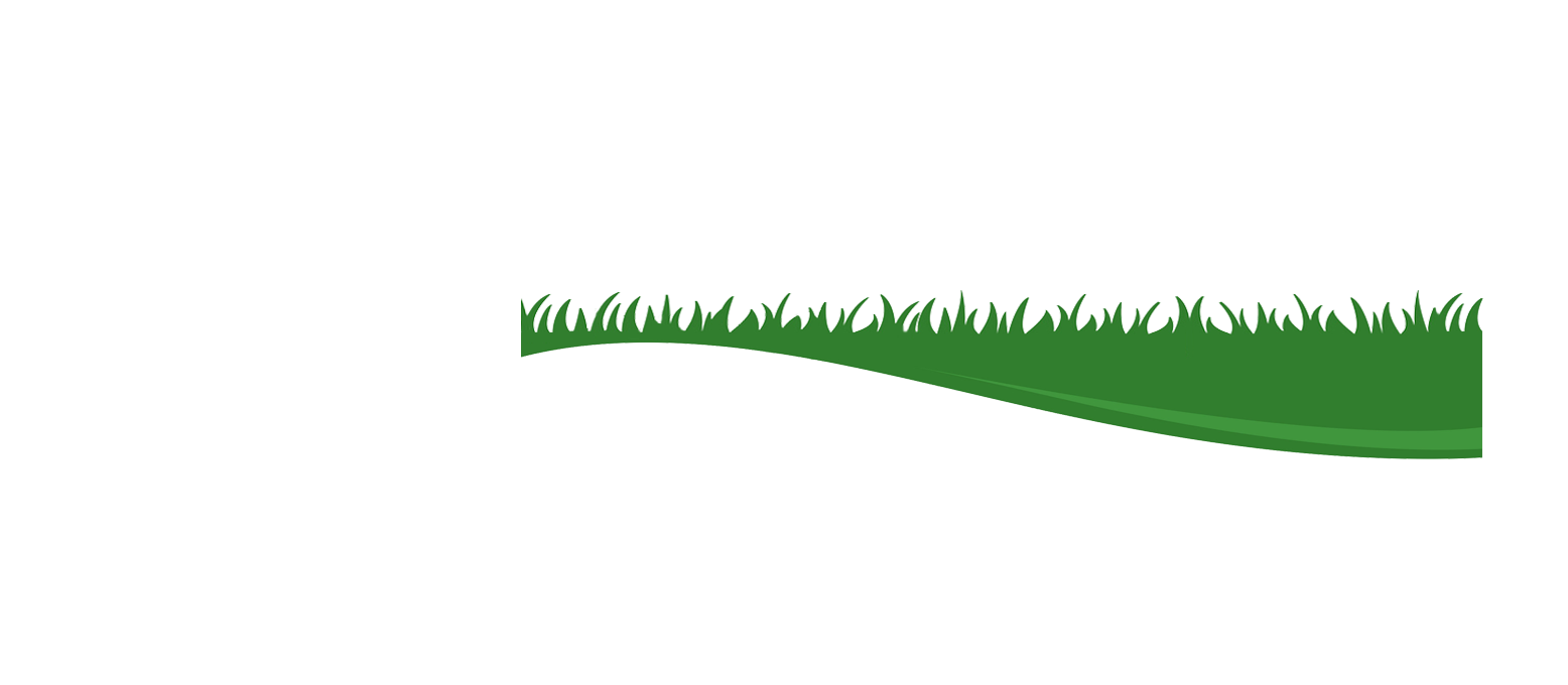 Manente Lawn & Landscape